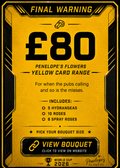 Penelopes Yellow Card March Day Bouquet - XXXL