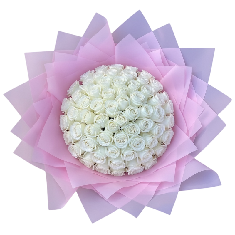 Penelope's white roses - 100