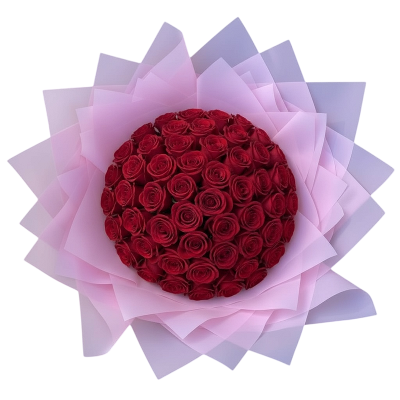 Penelope's Red Roses - 100