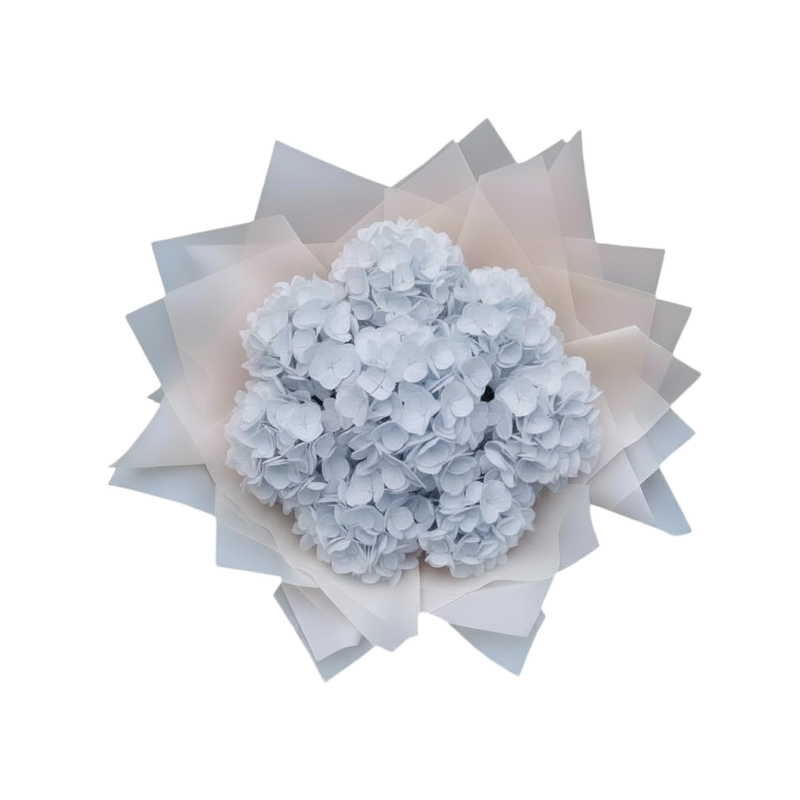 Penelopes Hydrangeas - Small