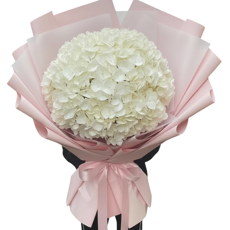 Penelopes Hydrangeas - XXXL