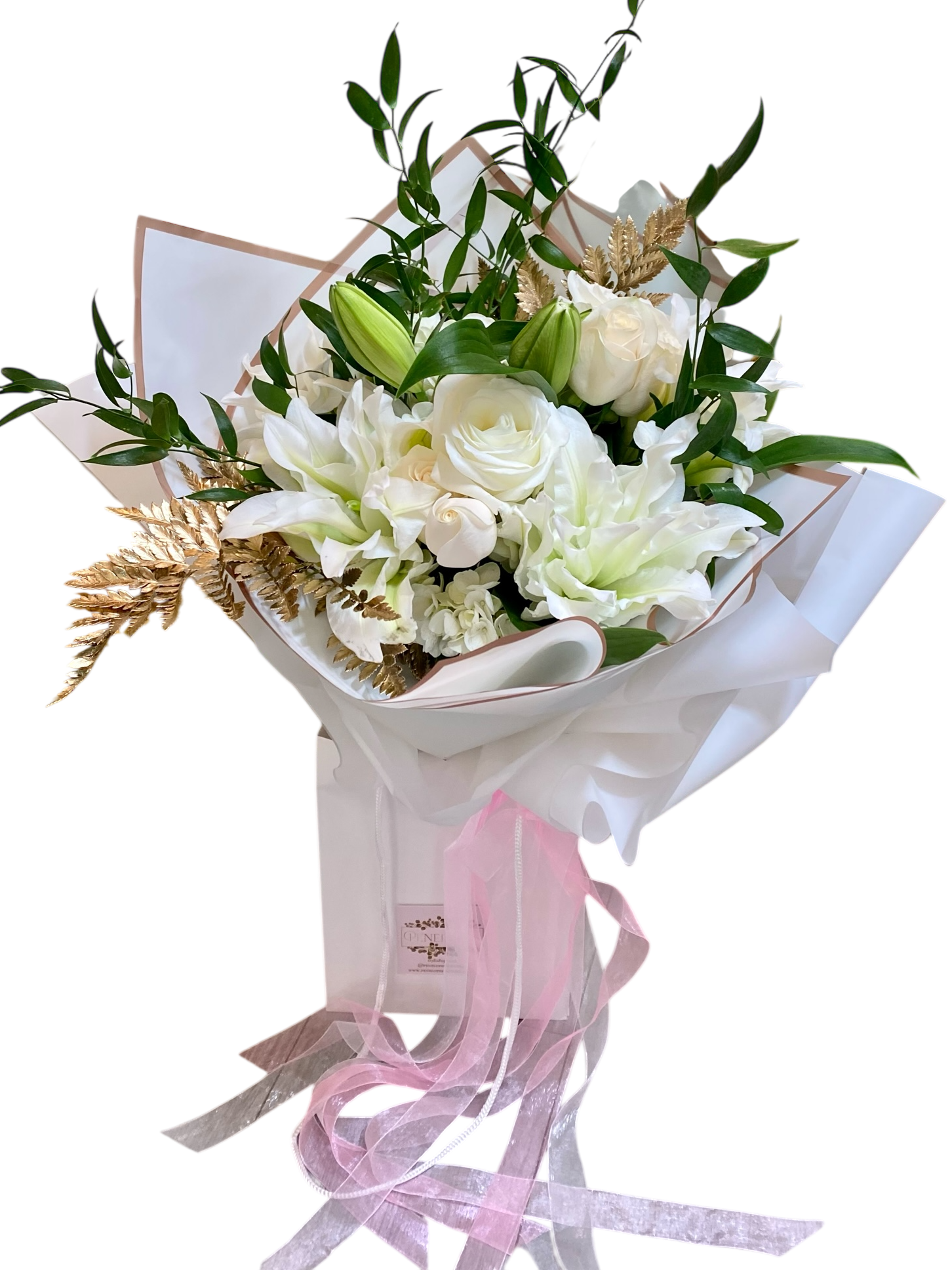 Penelope's Secret - Small