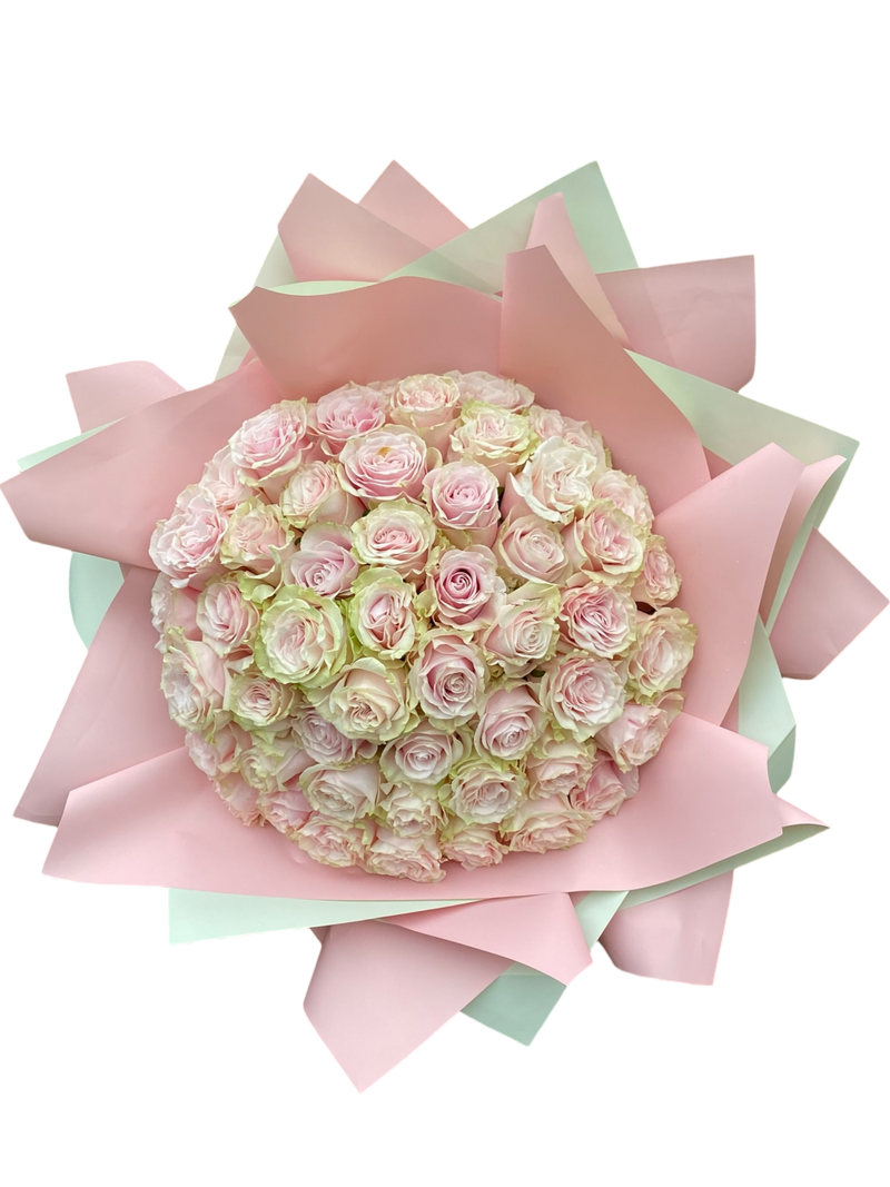 Penelopes Pink Roses 50