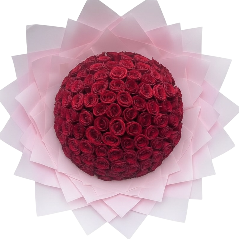 100 RED ROSES VALENTINES