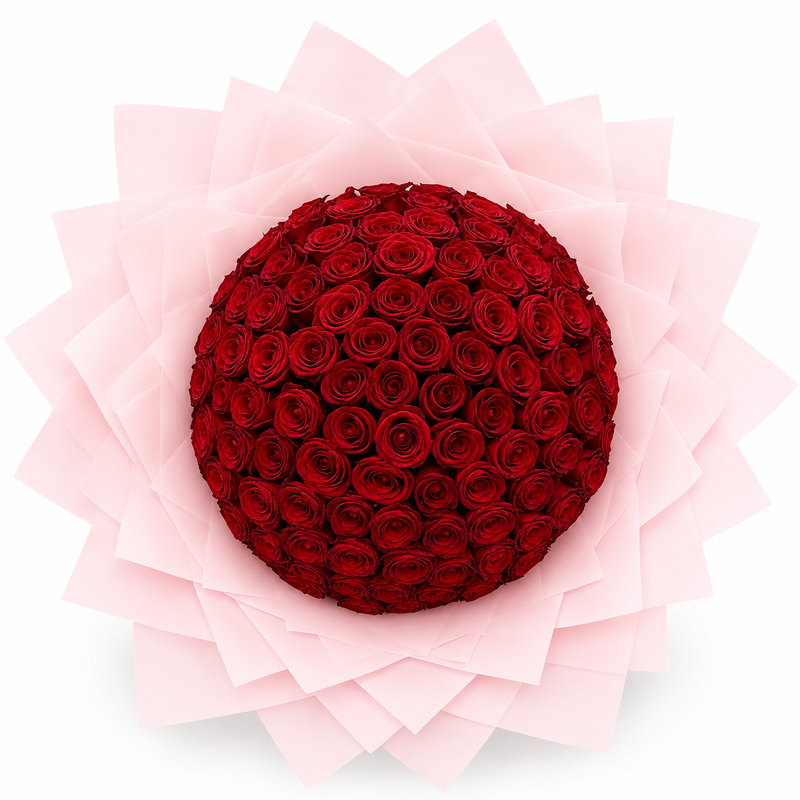 Penelope's Red Roses - 100