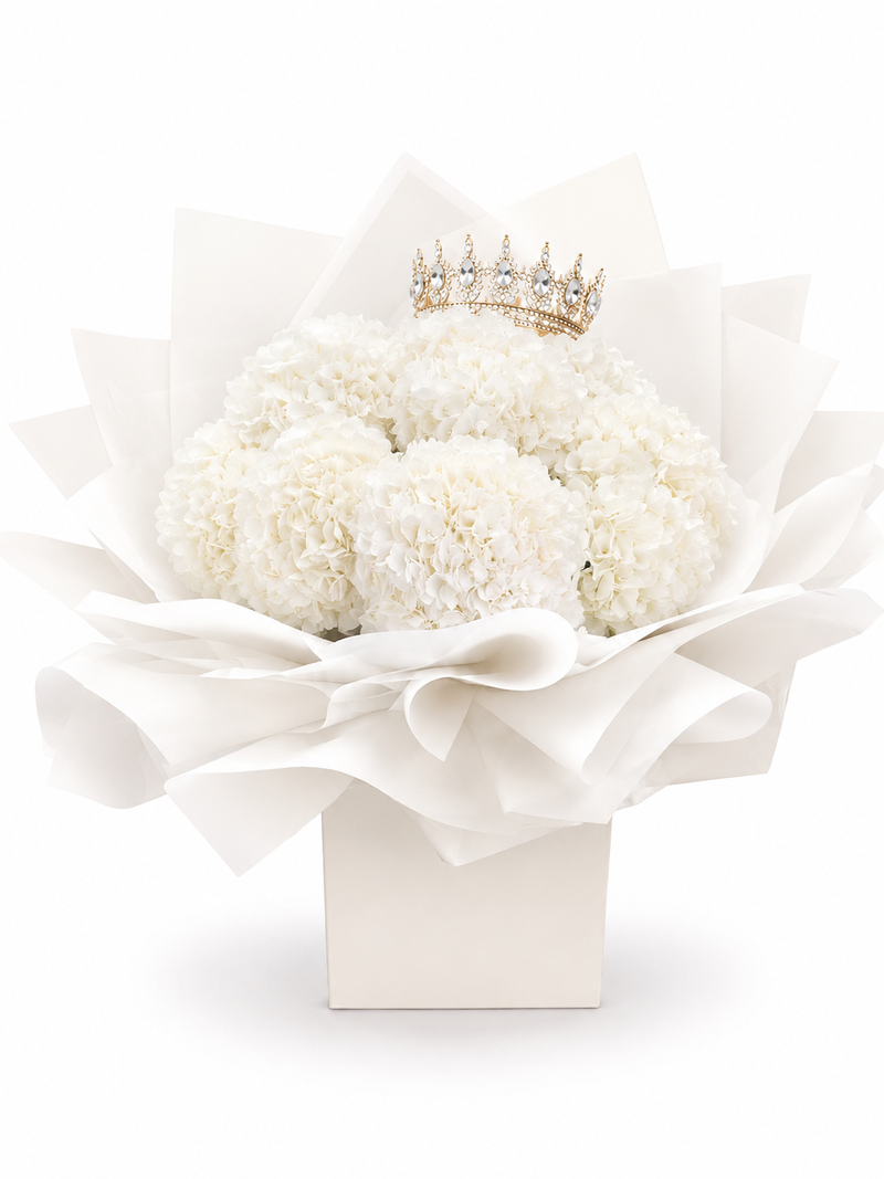 Penelopes White Hydrangeas - XL