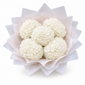 Penelopes White Hydrangeas - Small