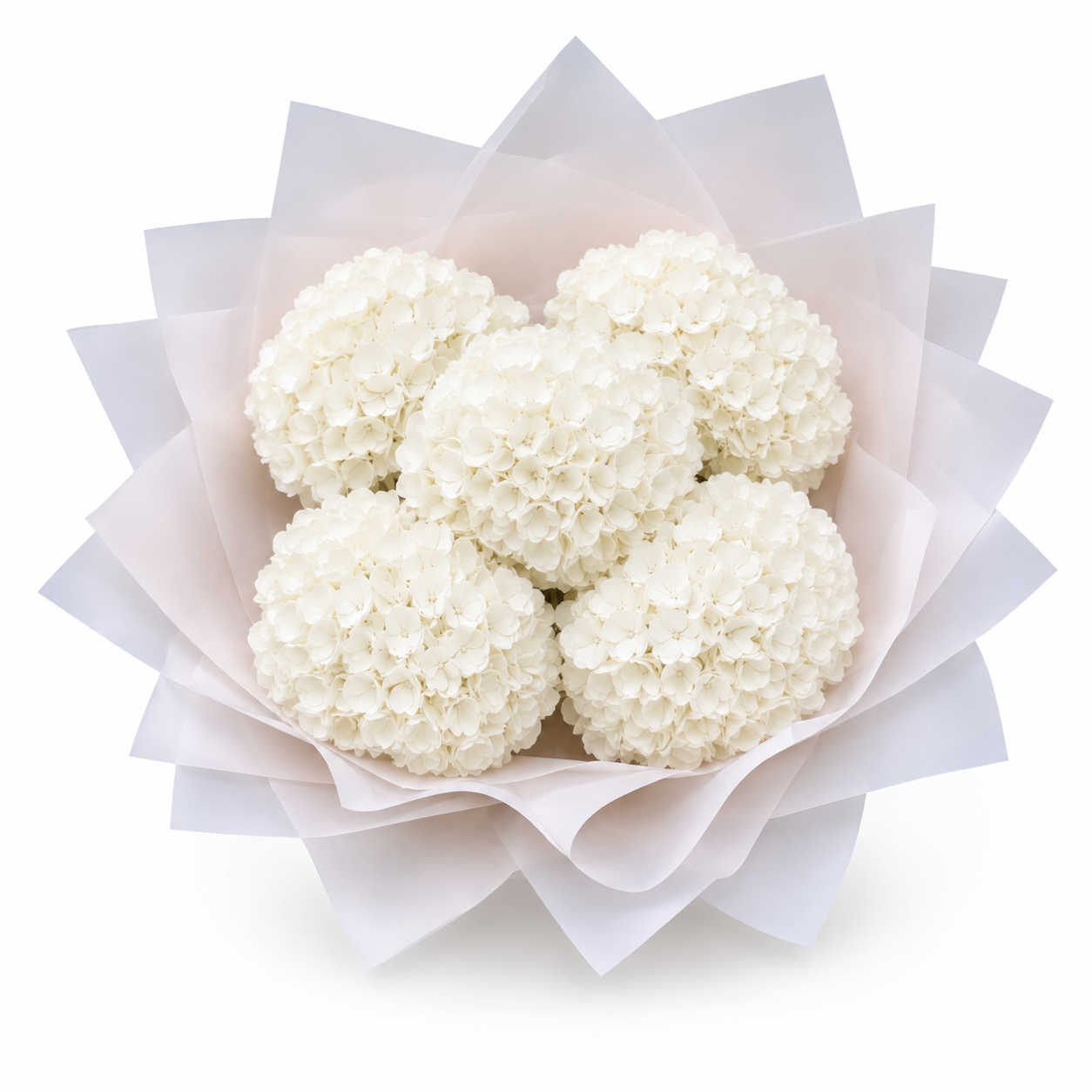 Penelopes White Hydrangeas - Small