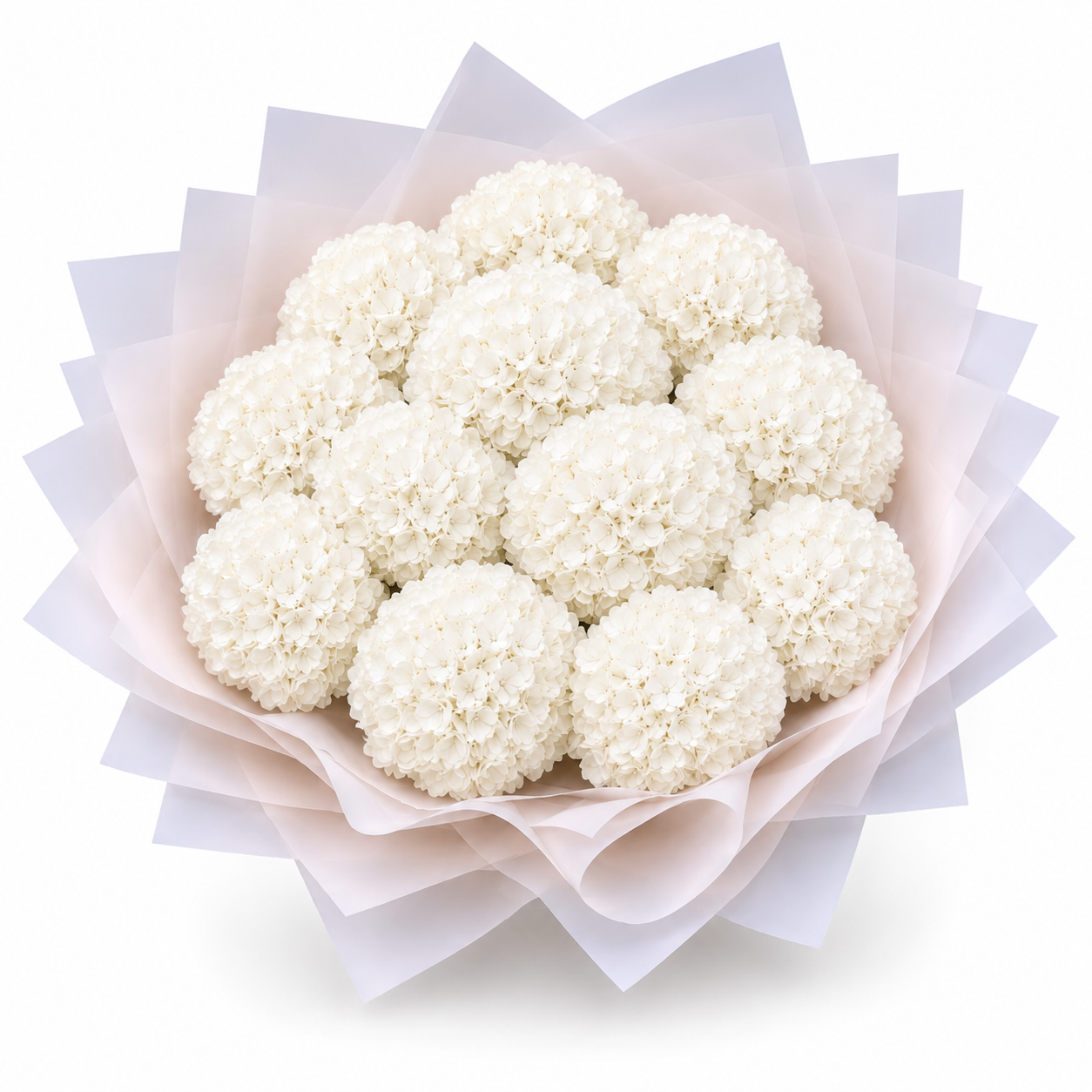 Penelopes White Hydrangeas - Medium
