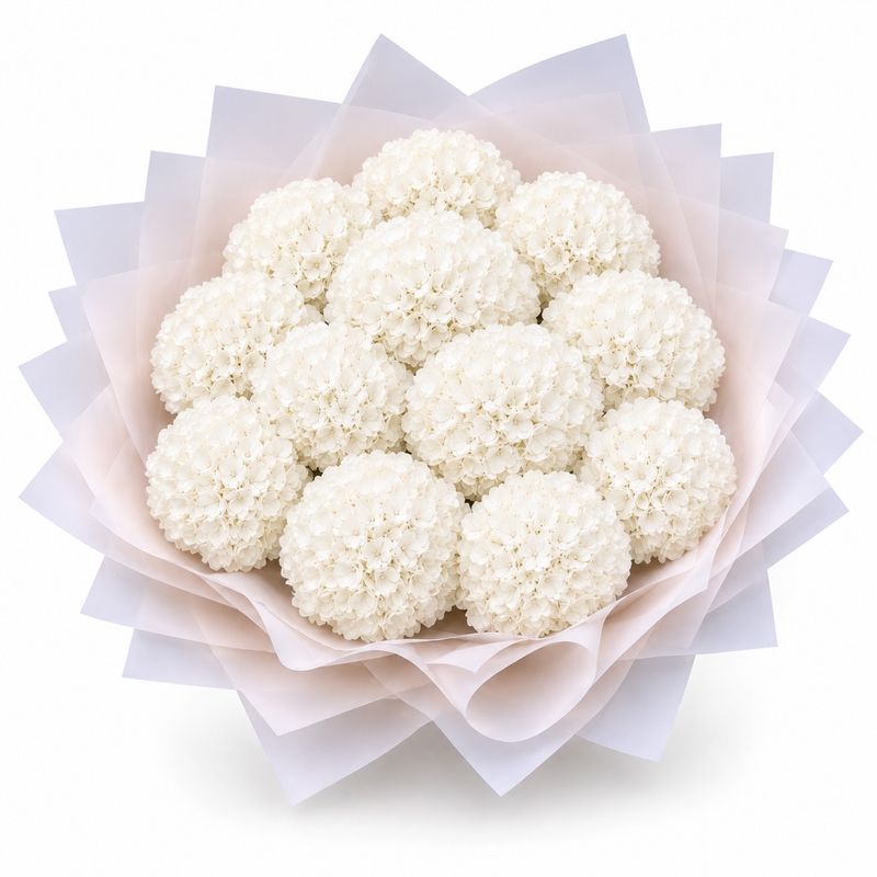 Penelopes White Hydrangeas - Medium