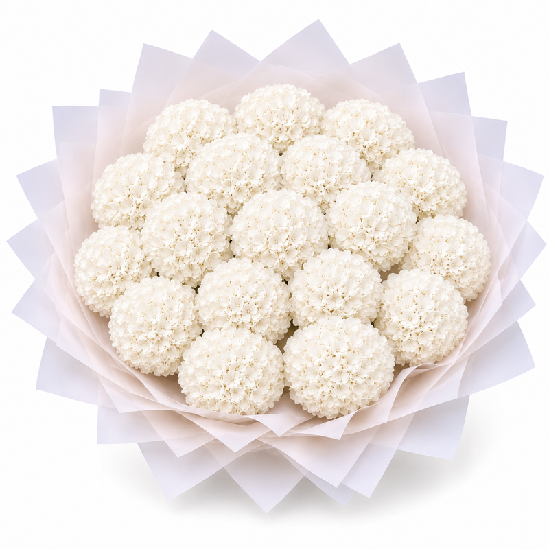 Penelopes White Hydrangeas - Large