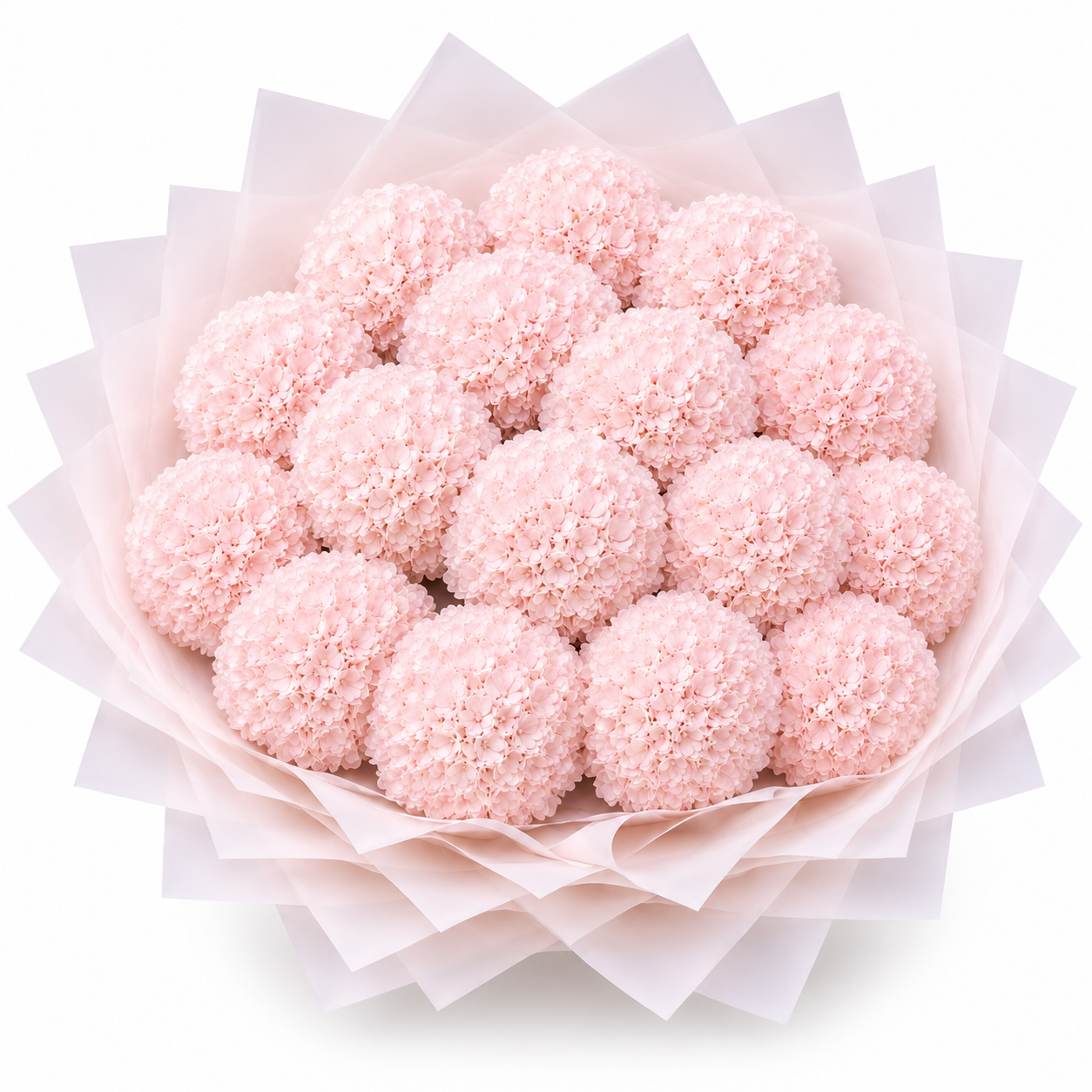 Penelopes Pink Hydrangeas - Large