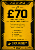 Penelopes Yellow Card Match Day Bouquet - XXL