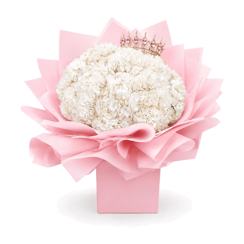 PENELOPES Hydrangeas