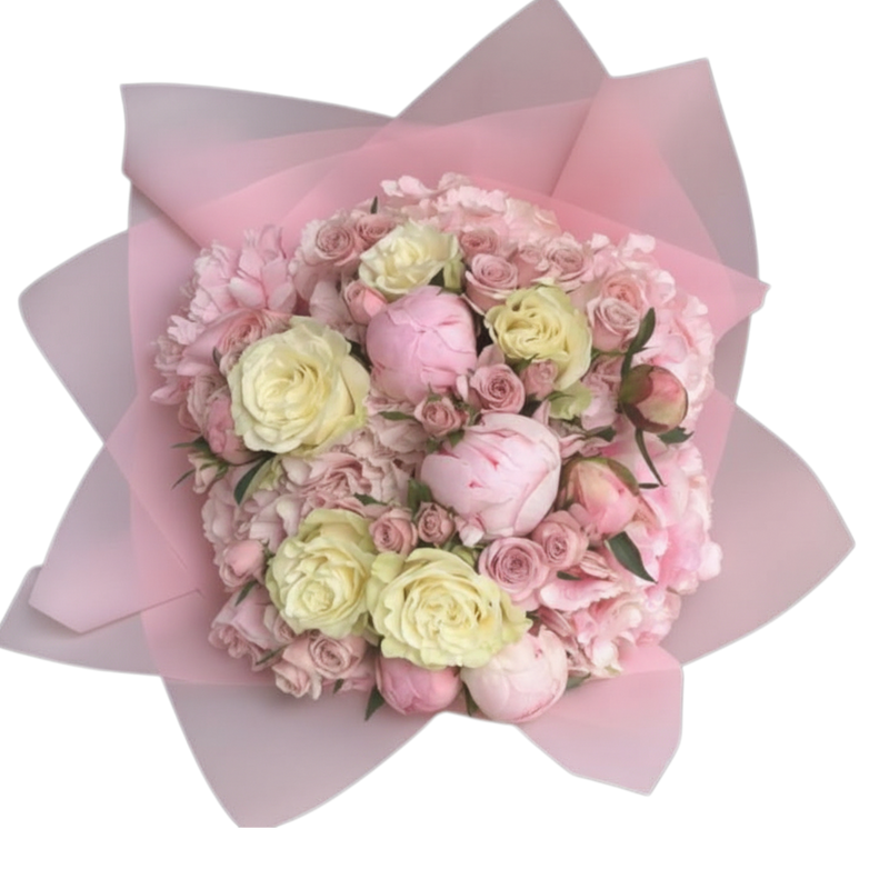 Penelope's originals - Large