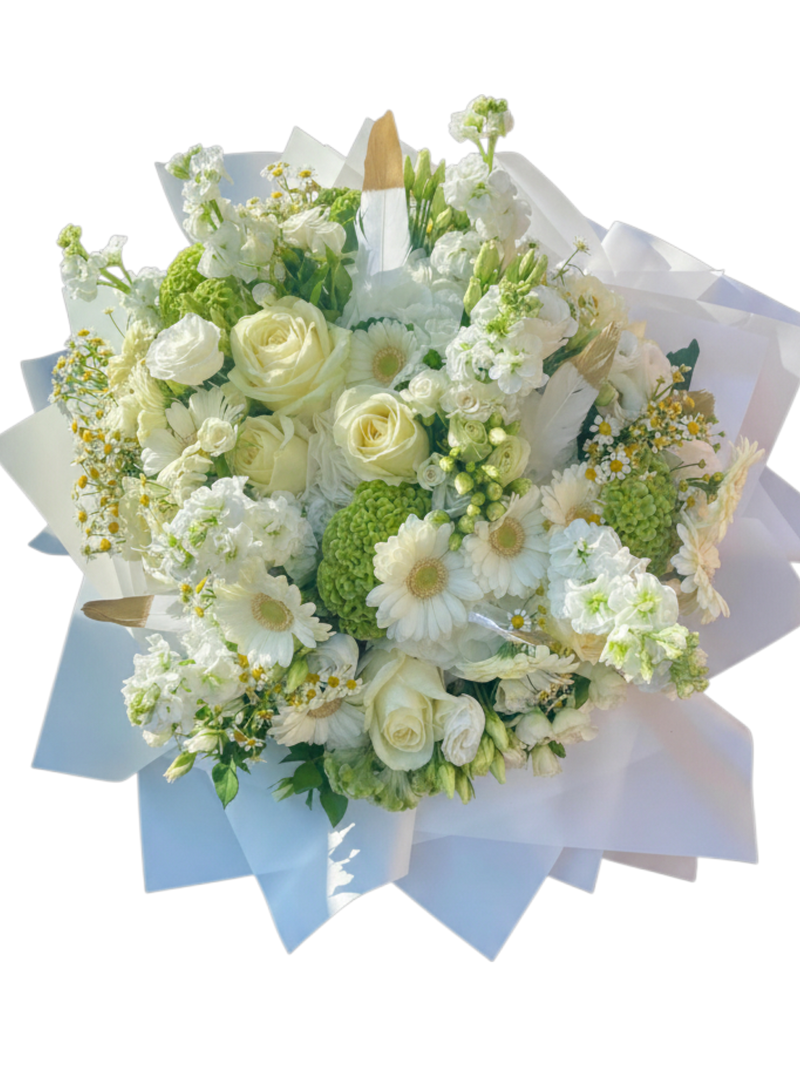 Penelope's Secret - XXXL