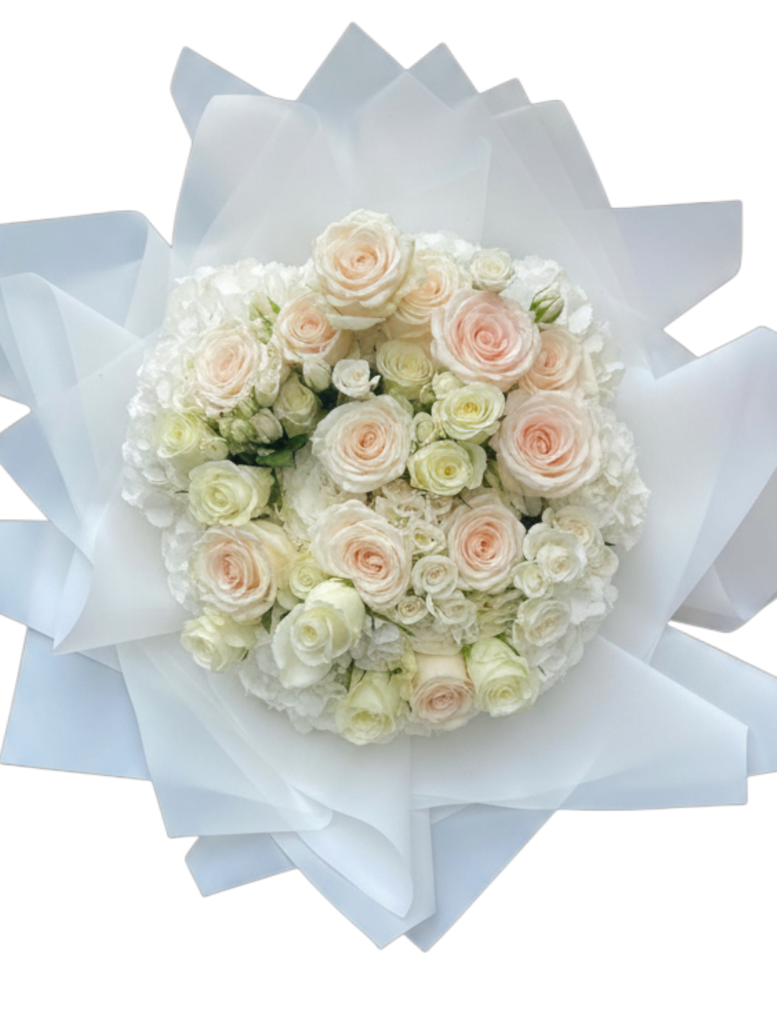 Penelope's Secret - XL