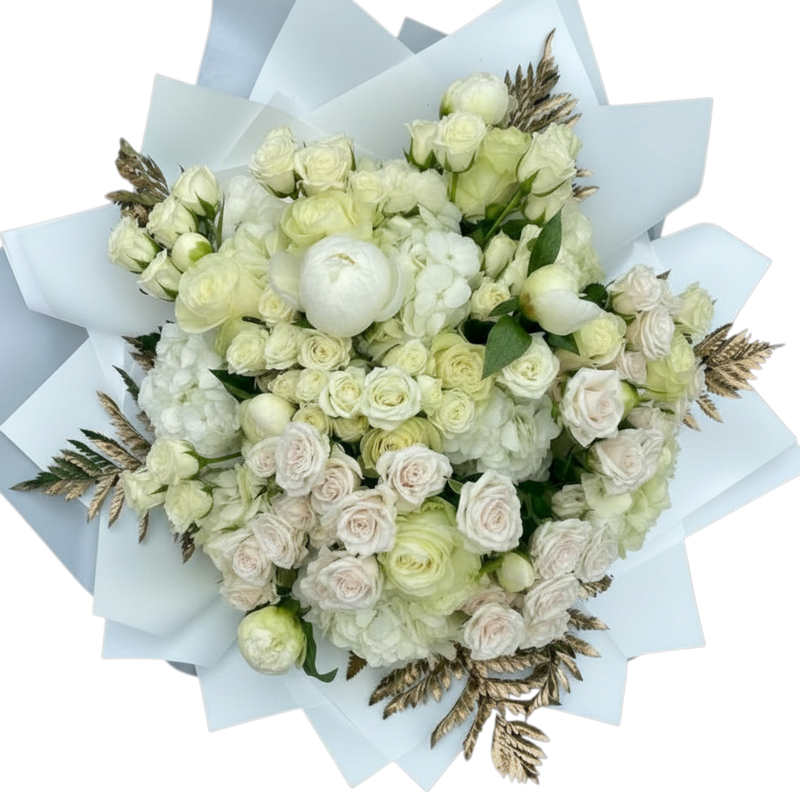 Penelope's Secret - XXL