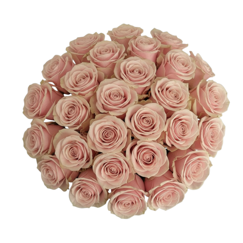 Penelopes Pink Roses - 25