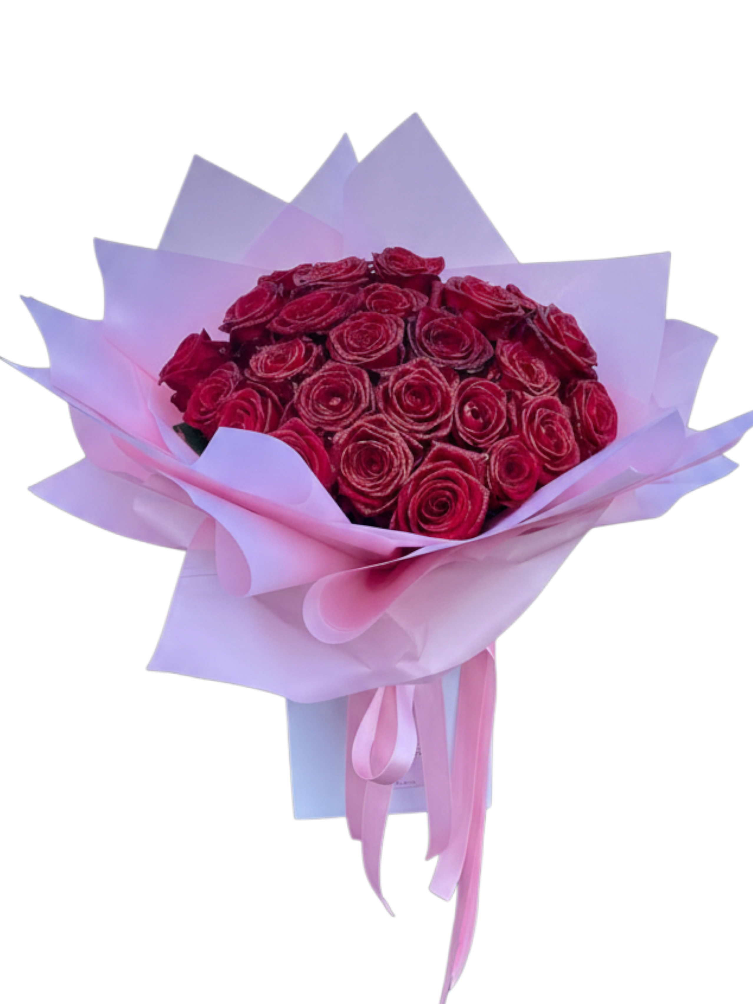 Penelope's Red Roses - 25