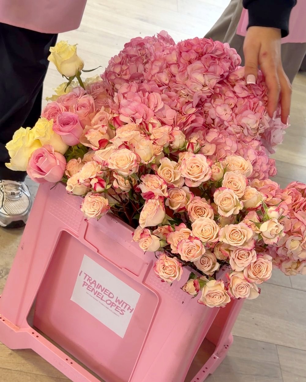 A box of pink roses and hydrangea ready to be made into flowers