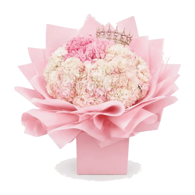 Penelopes Hydrangeas