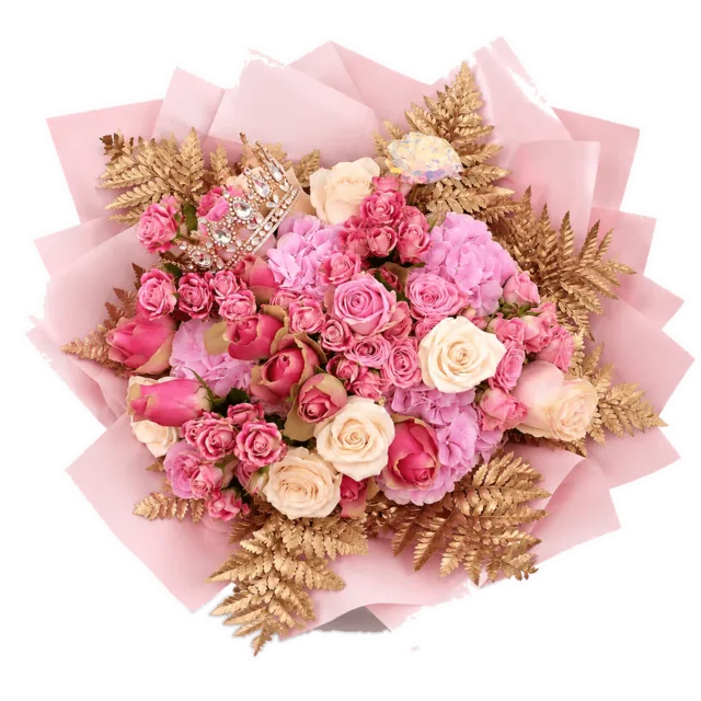 Penelopes Princess