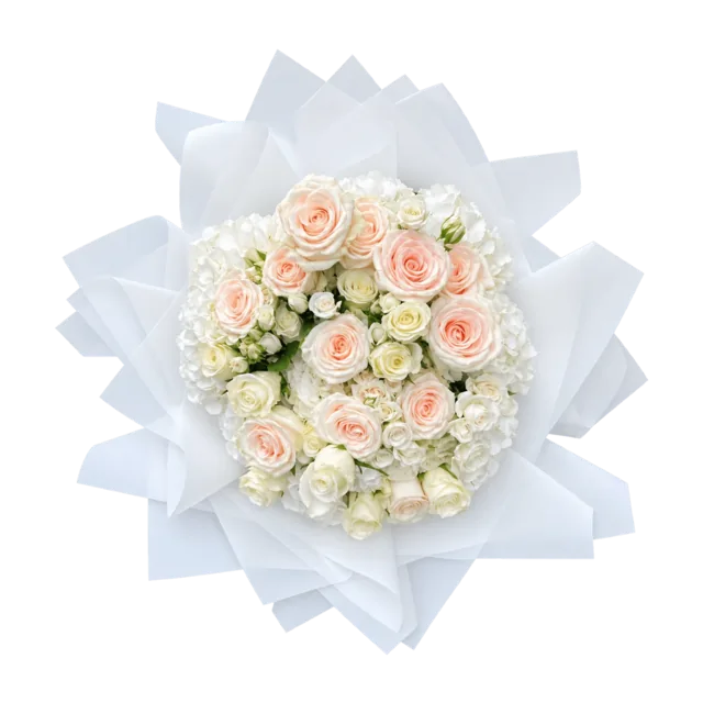 Penelopes White